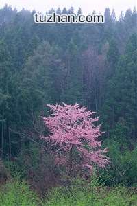上海上港大举克敌，铁马冰河战狂