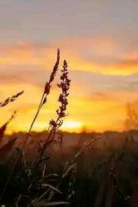 上海上港大举克敌，铁马冰河战狂