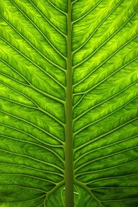 上海上港大举克敌，铁马冰河战狂